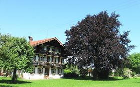 Saliterhof